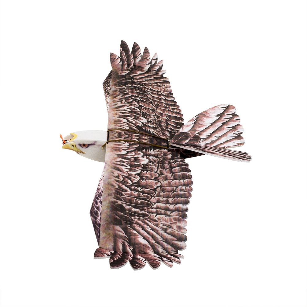 Rc Hobby Online - DW Hobby Eagle II EPP Airplane