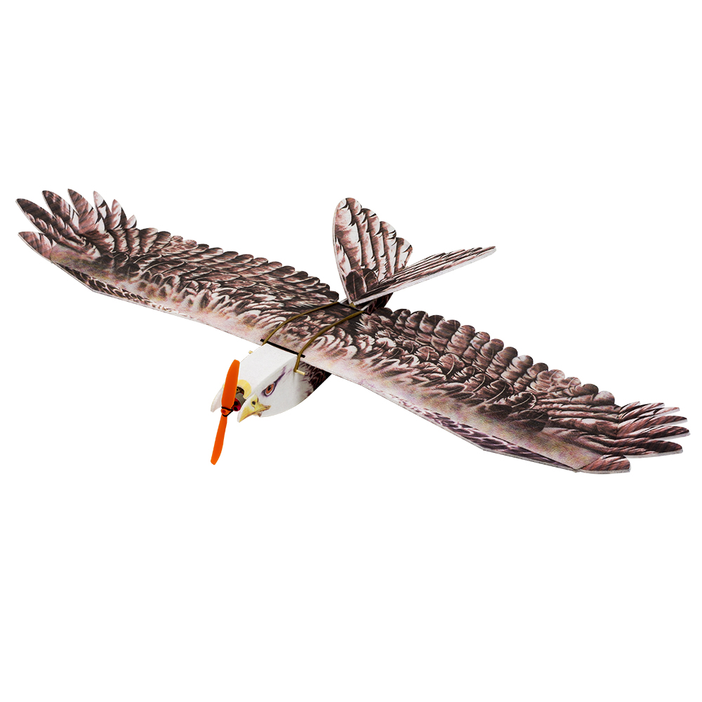 DW Hobby Eagle II EPP Airplane - Rc Hobby Online 评论和价格
