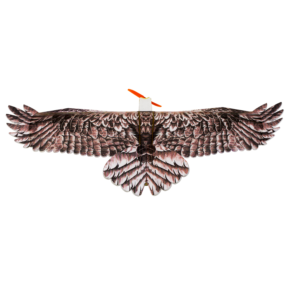 DW Hobby Eagle II EPP Airplane - Rc Hobby Online 评论和价格