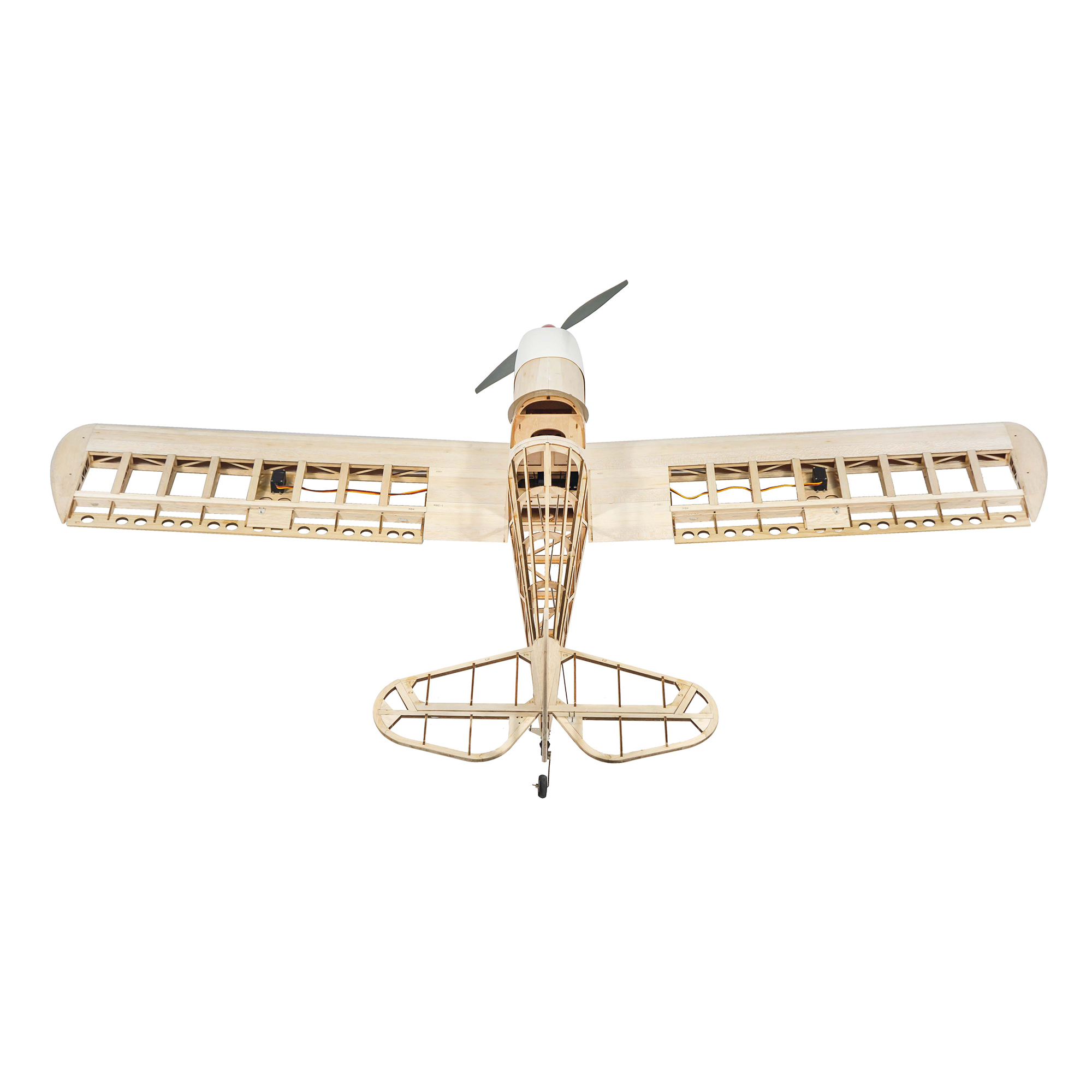 Dancing Wings Hobby 1.6M (63in - Rc Hobby Online 评论和价格